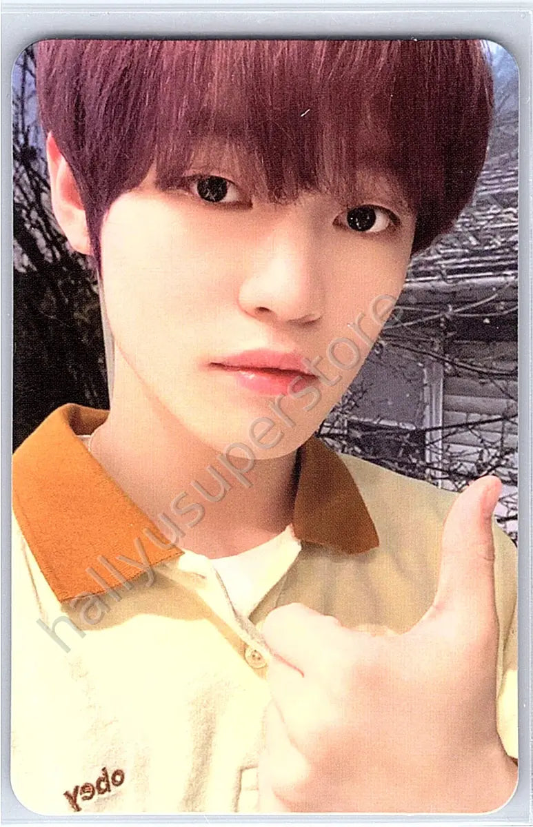 NCT DREAM - Chenle - ISTJ MD