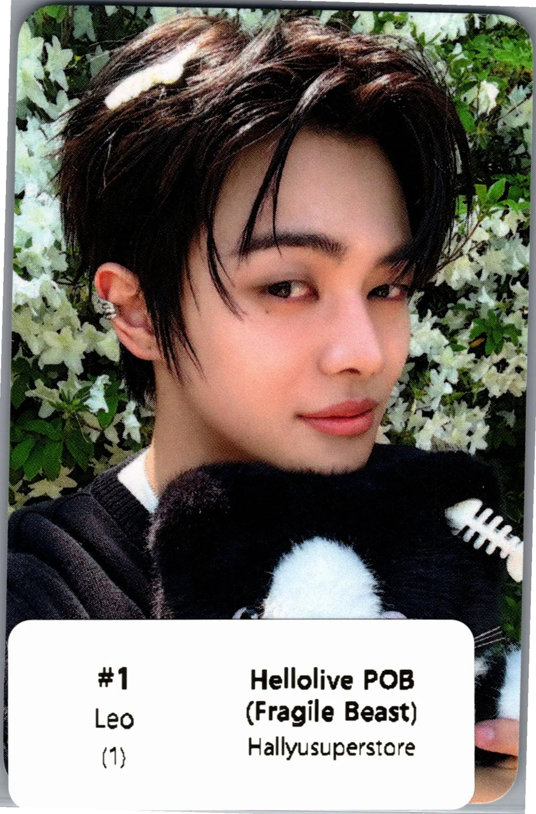 ALPHA DRIVE ONE "UNBREAKABLE : 少年BEAST" - Hellolive Pre-Order Benefit Photocards (Fragile Beast Ver.) [26.09.01]