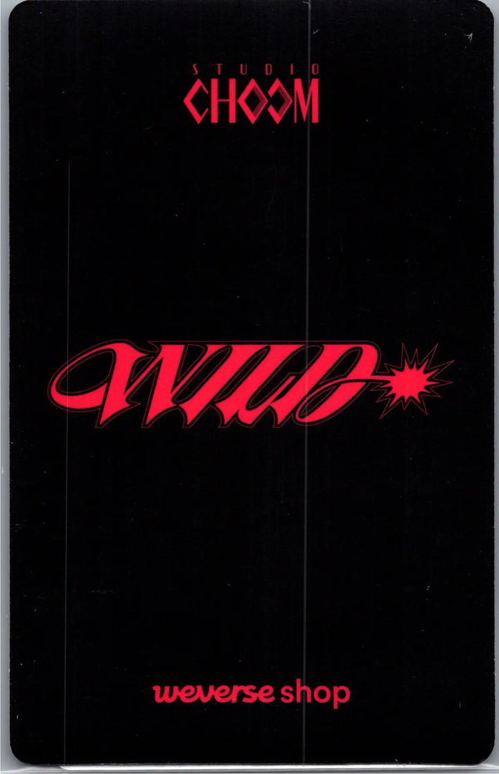 KATSEYE "WILD" - Weverse Shop Studio Choom Gift Photocard [26.08.19]