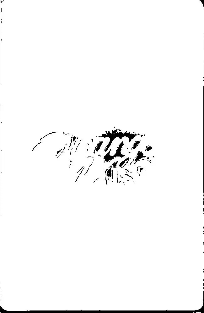 NMIXX "Strange Muse" - Official Photocard [26.10.20]