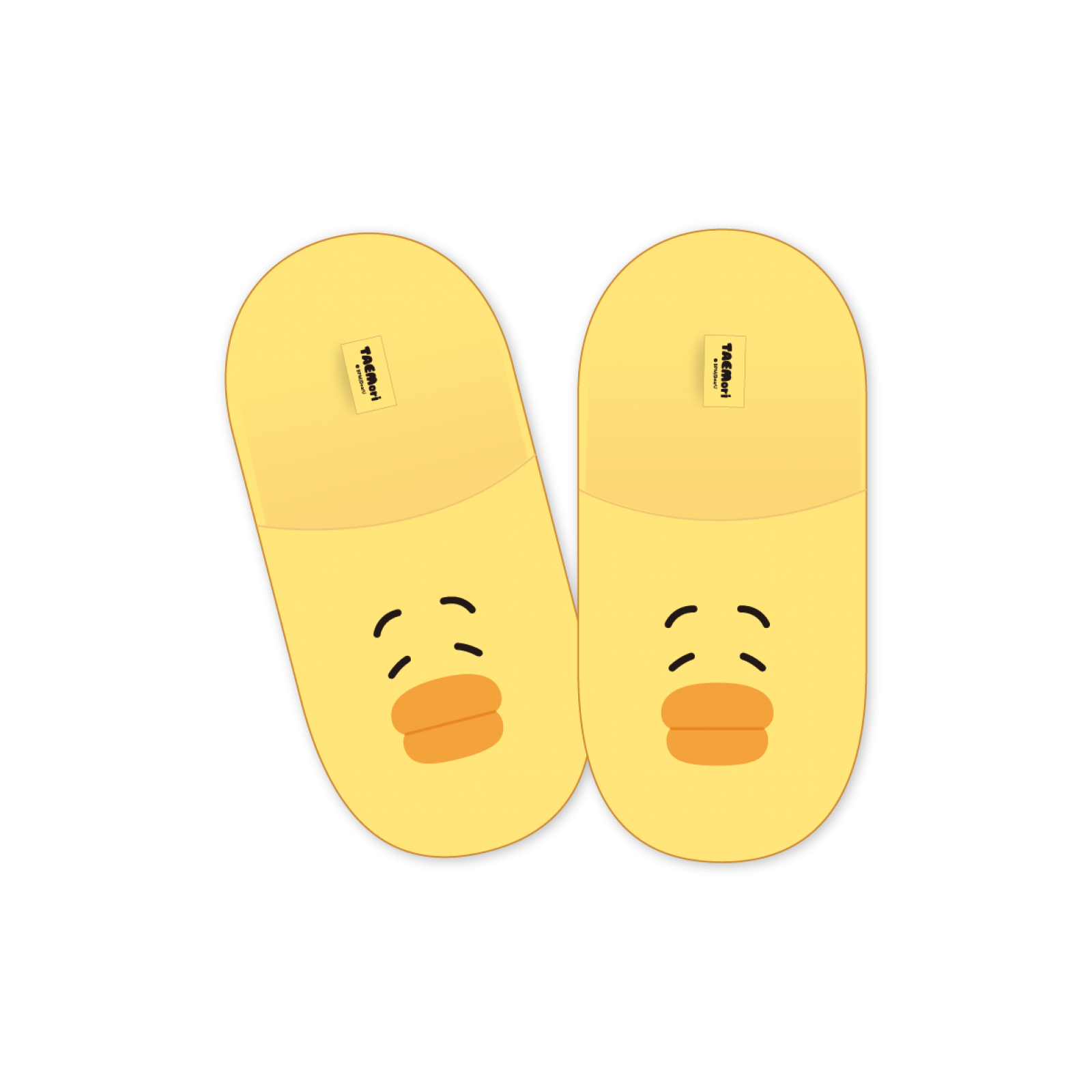 [Hallyu4U - Online Merch] TAEMIN - 2026 TAEMori POP-UP STORE OFFICIAL MD [ROOM SLIPPERS]