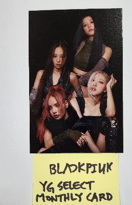 BLACK PINK - YG Select Monthly Photocard [Updated 10/11] - HALLYUSUPERSTORE