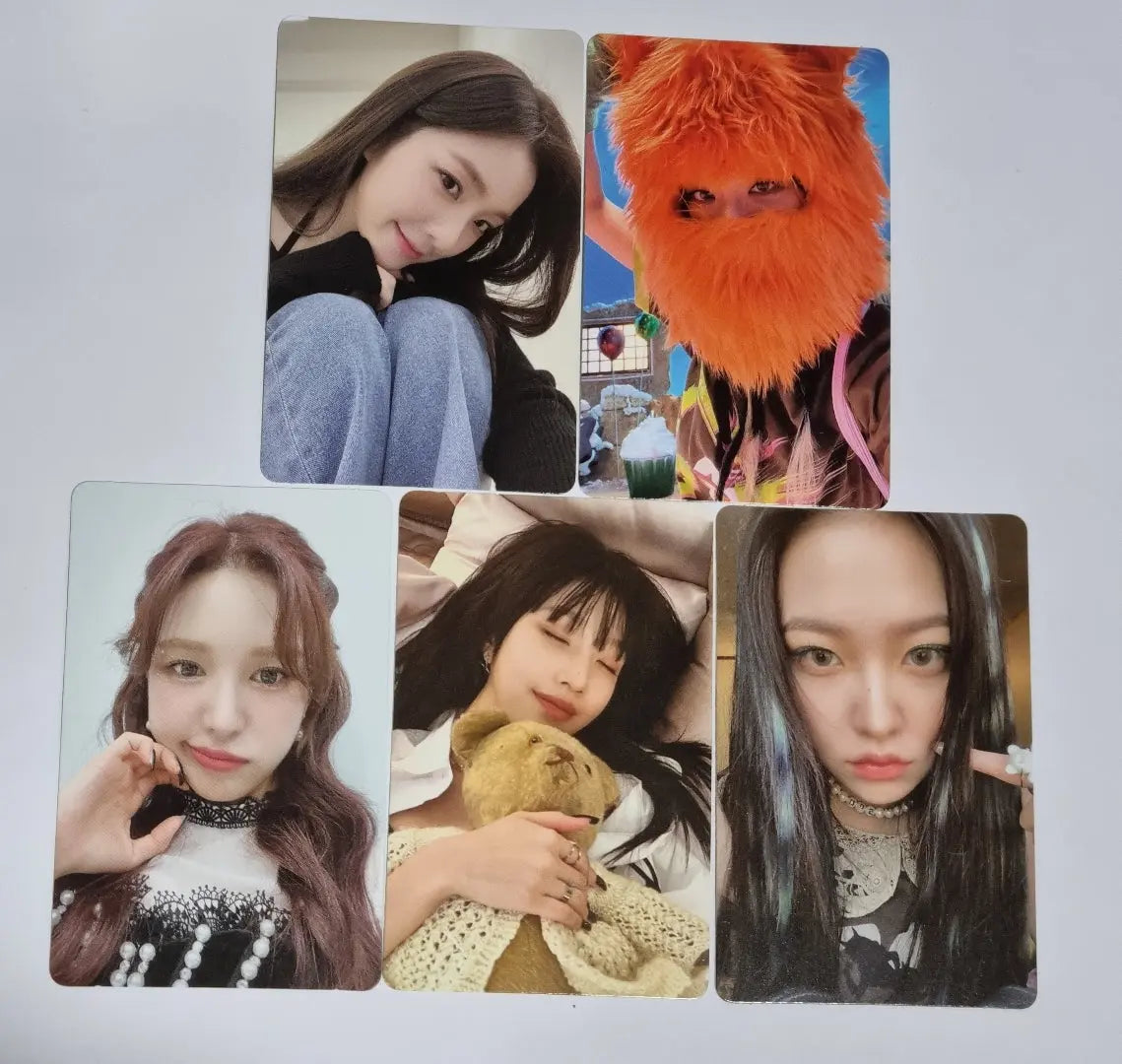 Outlet BIBI Festiver Collab Photocard