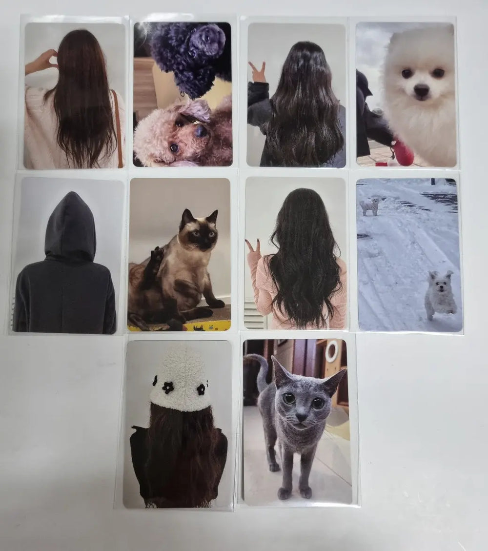 ITZY 'CHESHIRE' - Withmuu Photocard Event - HALLYUSUPERSTORE