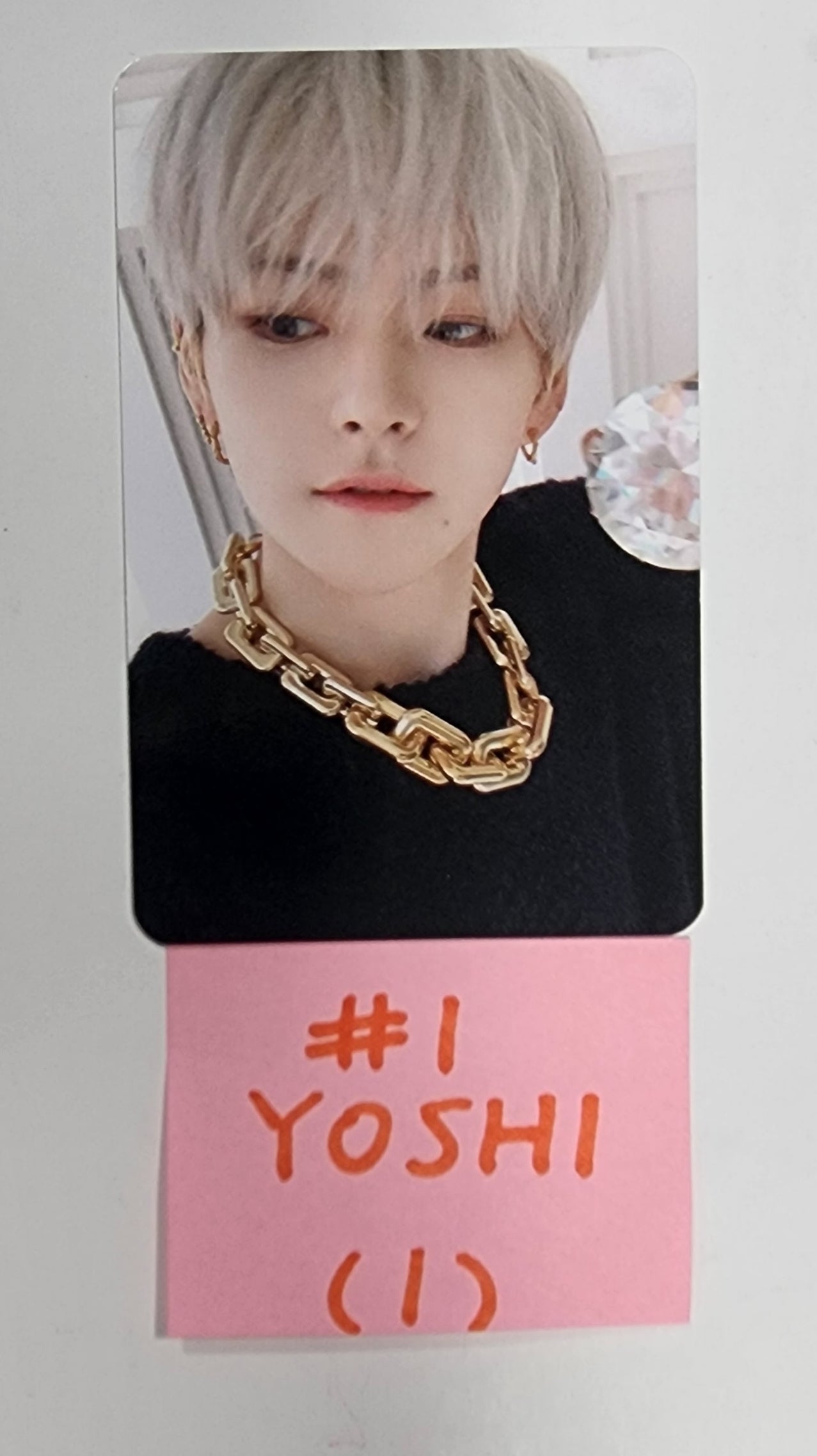 Treasure "Night Garden" Photo Scrap Kit MD PreOrder Benefit Photoca