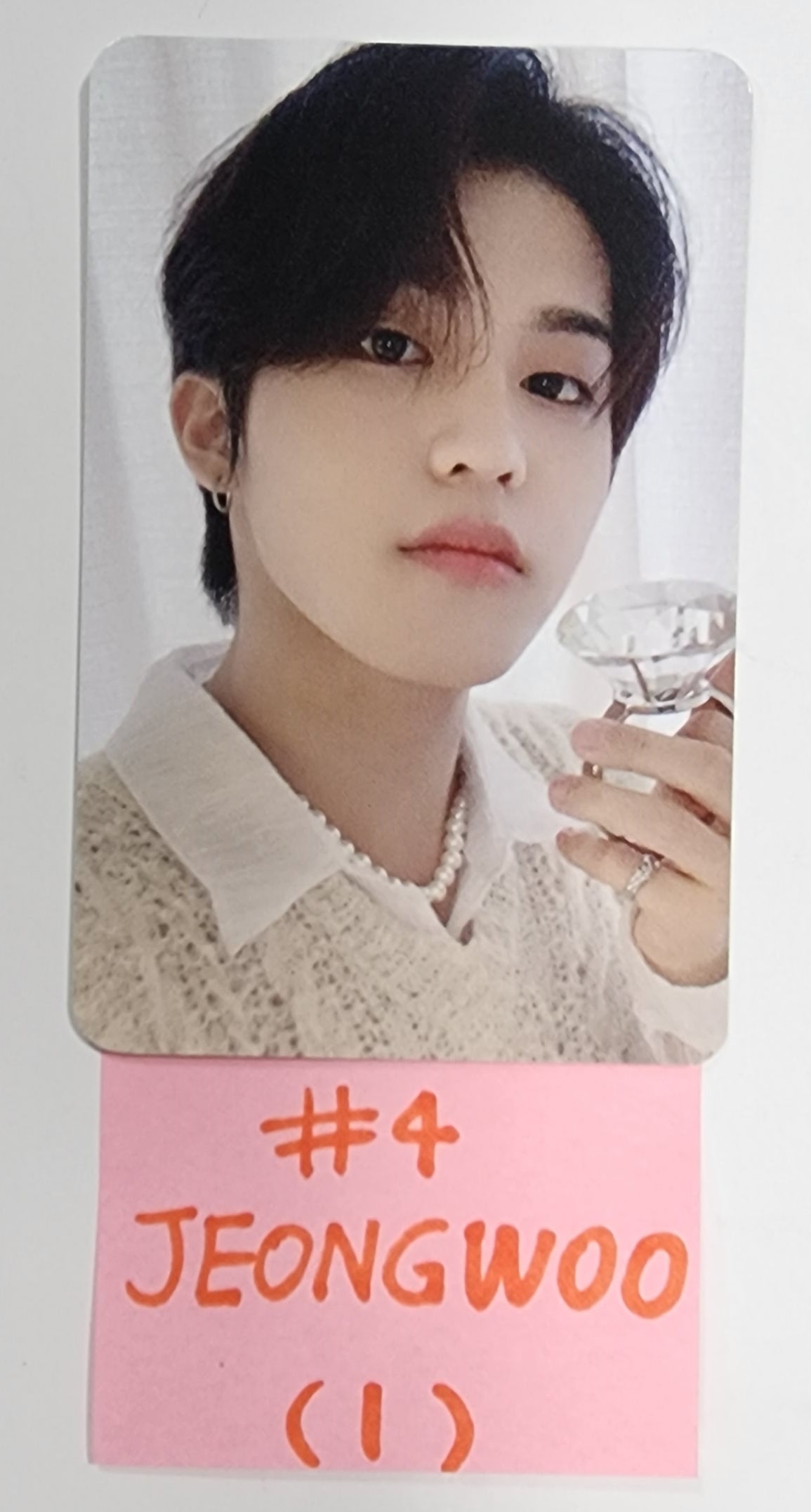 Treasure "Night Garden" Photo Scrap Kit MD PreOrder Benefit Photoca