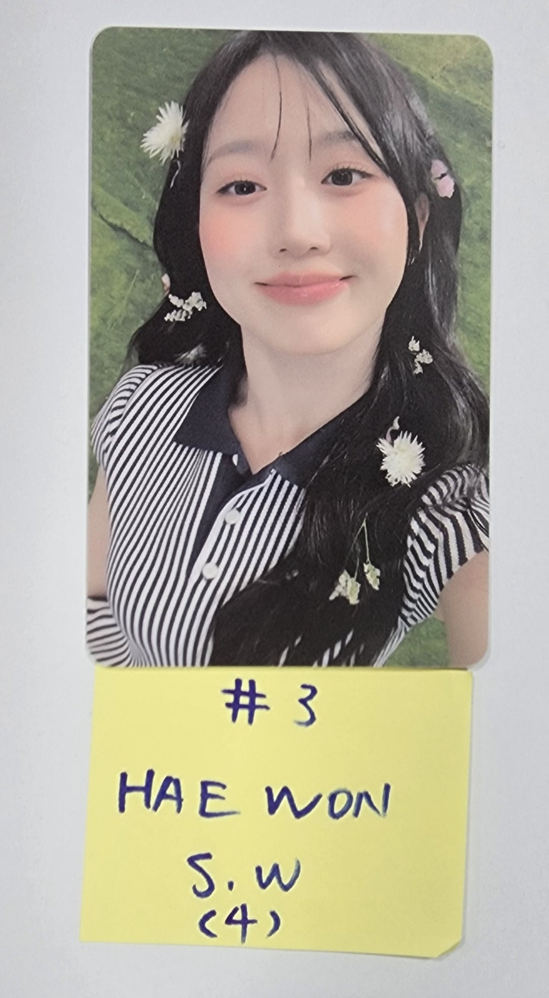 NMIXX "expergo" - Soundwave Lucky Draw Event PVC Photocard Round 2 - HALLYUSUPERSTORE