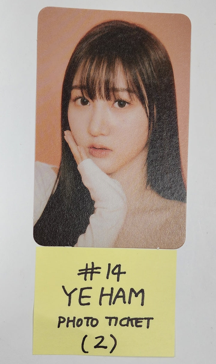 CSR "DELIGHT" - Official Photocard, Photo Ticket - HALLYUSUPERSTORE