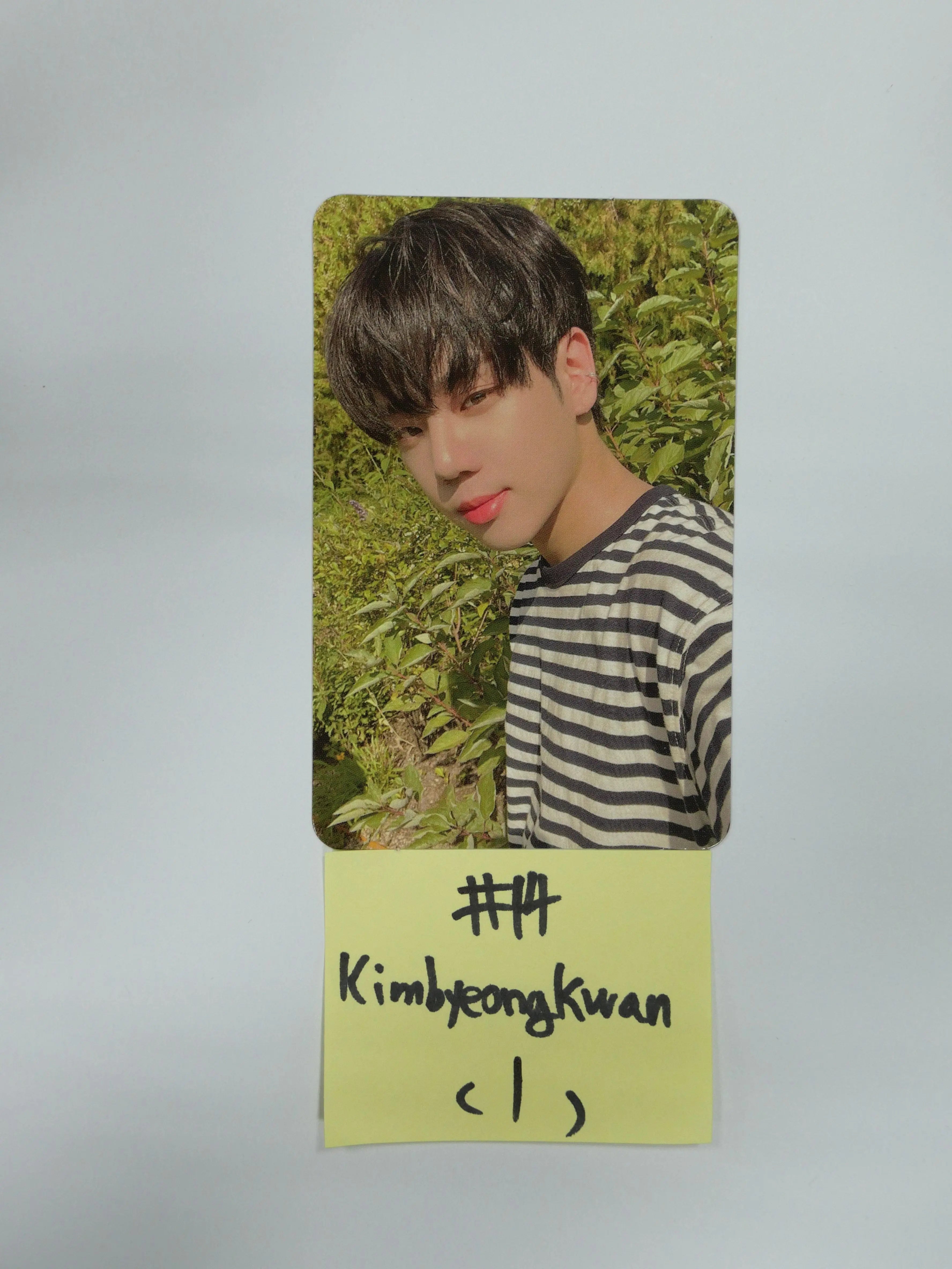 A.C.E 